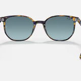 RayBan Elliot - Yellow & Blue Havana