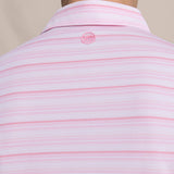 Southern Tide Driver Wild Winds Stripe Polo